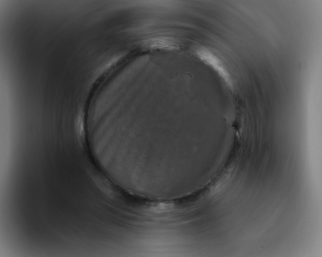 X0000094380398200711162135