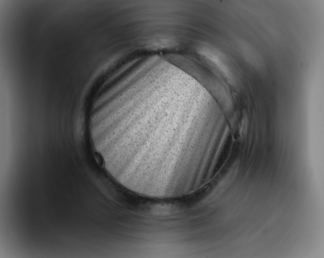 X0000094380400200711162135