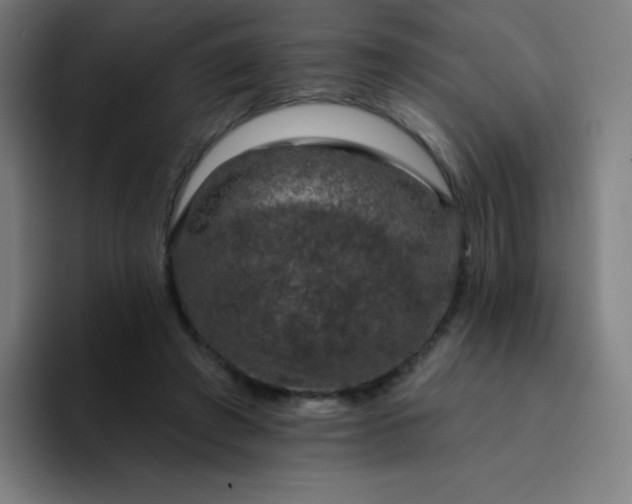 X0000094380401200711162135