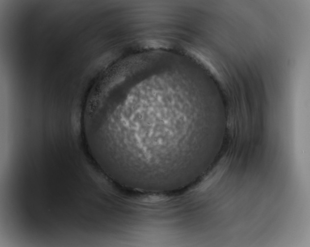 X0000094380402200711162135