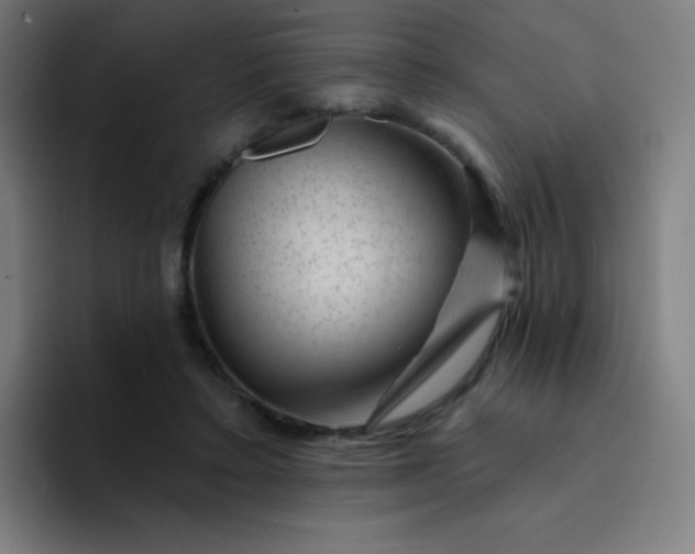 X0000094380403200711162135