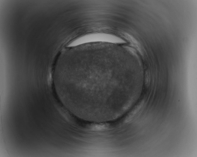 X0000094380405200711162135