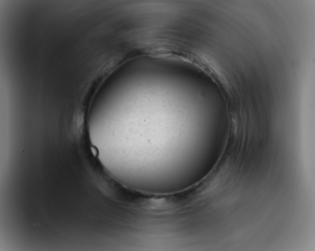 X0000094380406200711162135