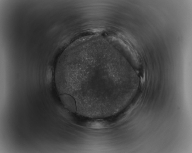 X0000094380412200711162134