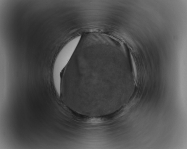 X0000094380413200711162134