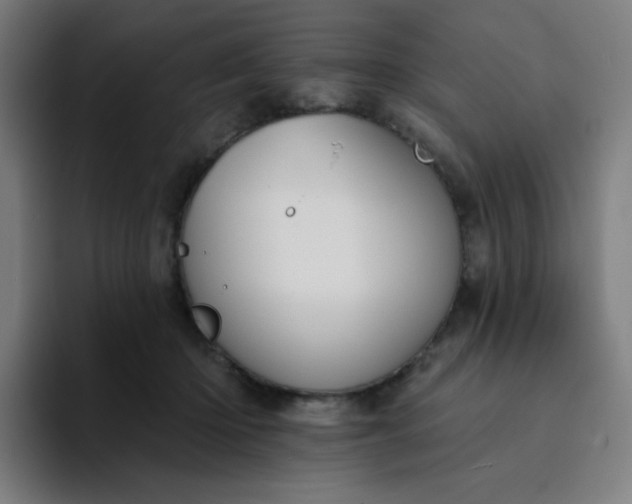 X0000094380414200711162134