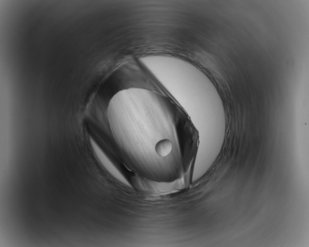 X0000094380415200711162134
