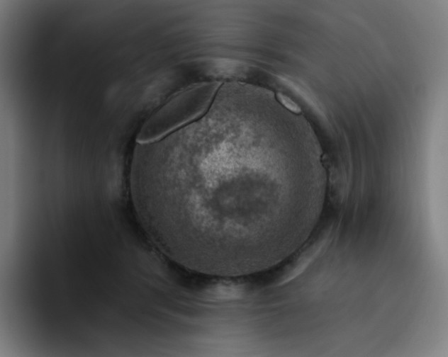 X0000094380416200711162134