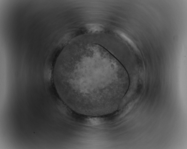X0000094380417200711162134