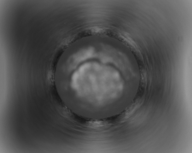 X0000094380419200711162134