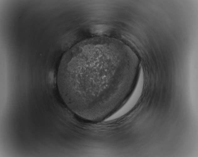 X0000094380420200711162134