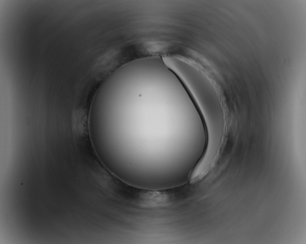 X0000094380421200711162134