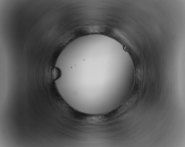 X0000094380422200711162134