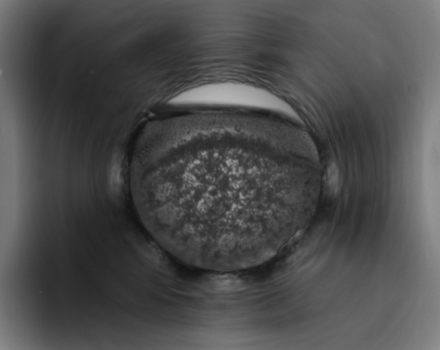 X0000094380424200711162134