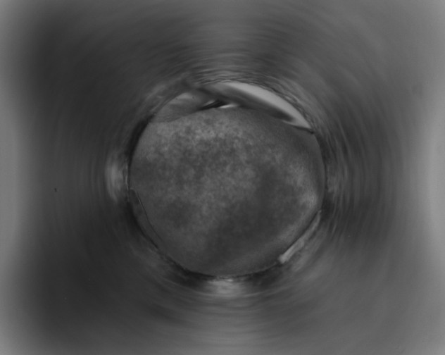 X0000094380425200711162134