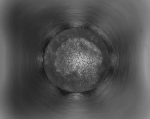 X0000094380427200711162134