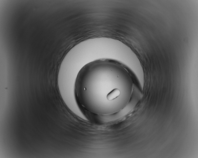 X0000094380428200711162134