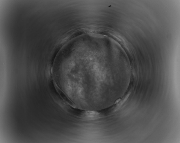 X0000094380429200711162134