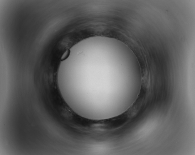 X0000094380430200711162134