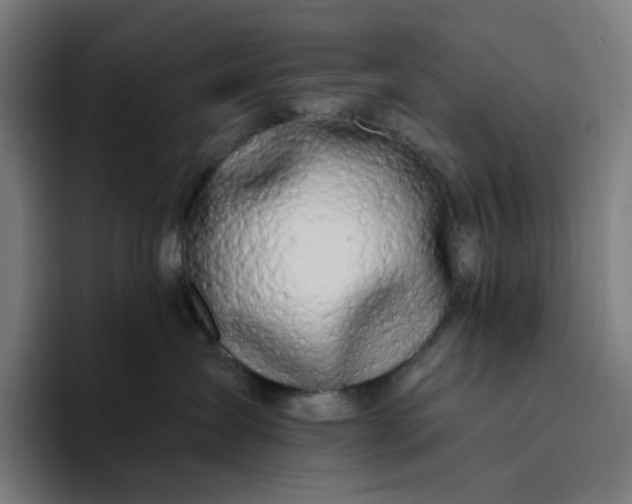 X0000094380431200711162134
