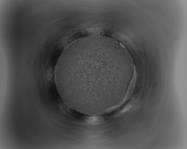 X0000094380432200711162134