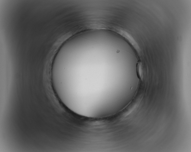 X0000094380433200711162134