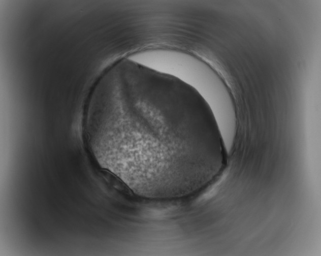 X0000094380434200711162134