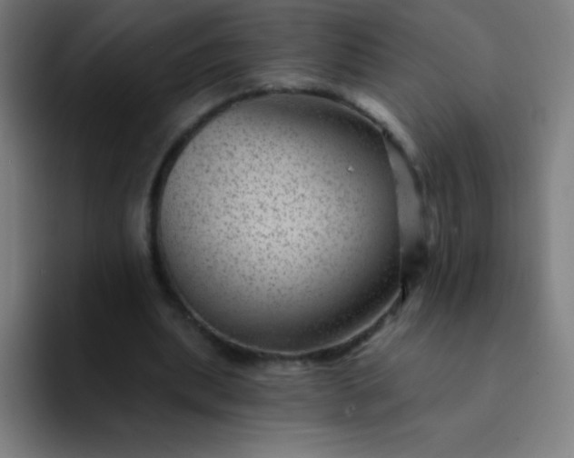 X0000094380439200711162134