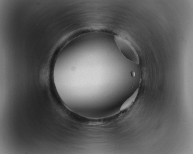 X0000094380440200711162134