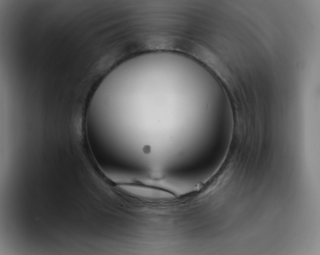X0000094380441200711162134