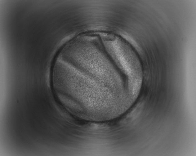X0000094380442200711162134