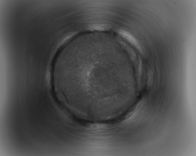 X0000094380444200711162134