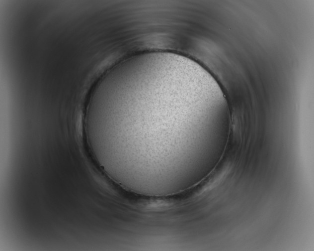 X0000094380445200711162134