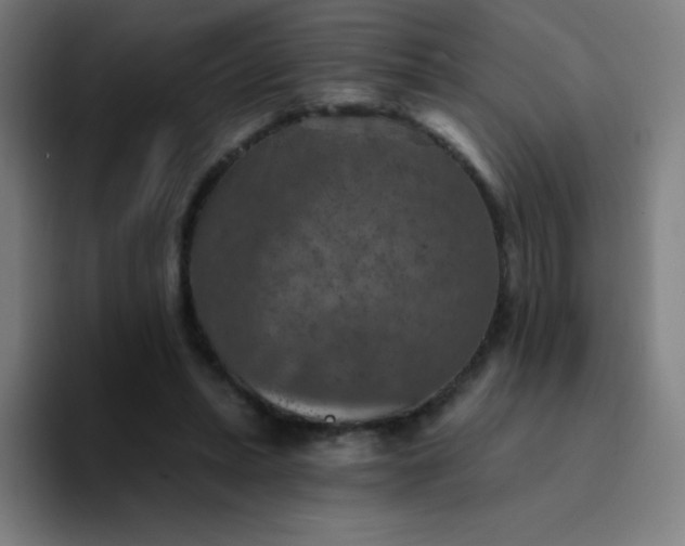 X0000094380447200711162134