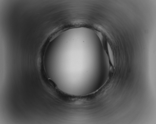 X0000094380448200711162134