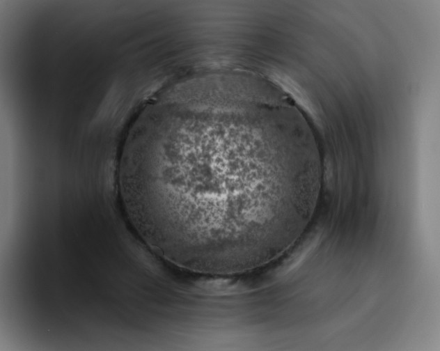 X0000094380449200711162134