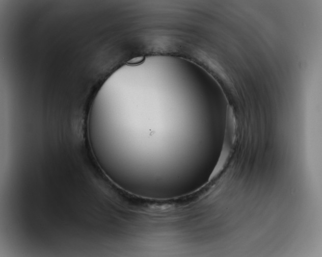 X0000094380450200711162134