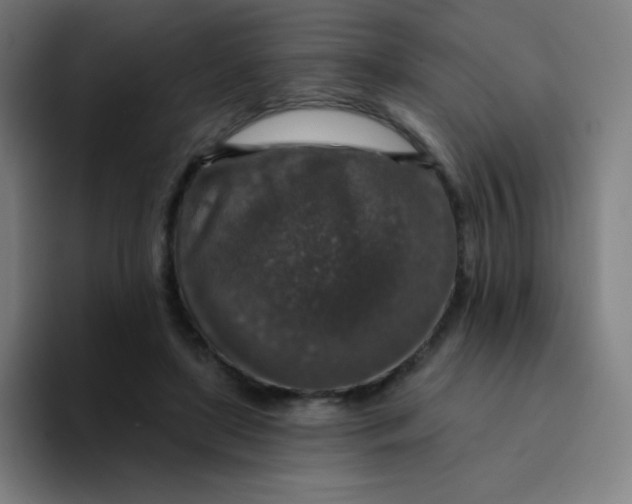 X0000094380451200711162134