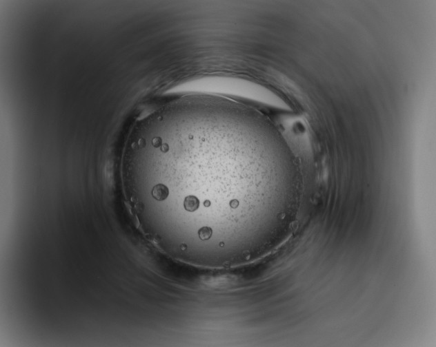 X0000094380452200711162134