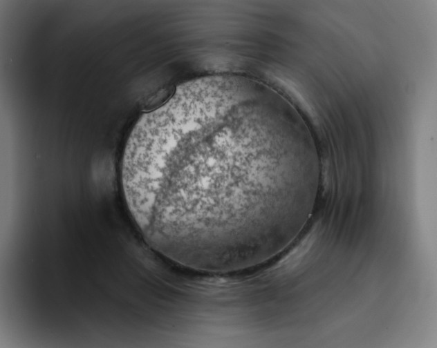 X0000094380453200711162134