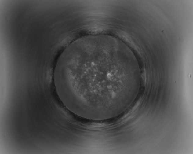 X0000094380458200711162134