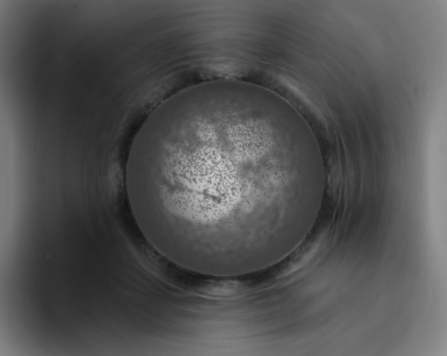 X0000094380459200711162134