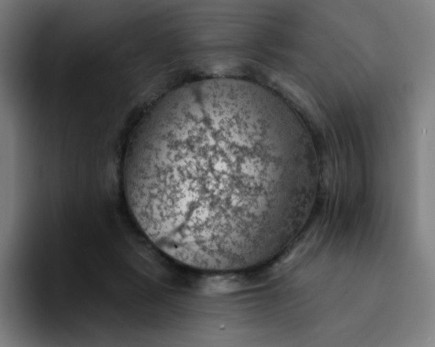 X0000094380461200711162134