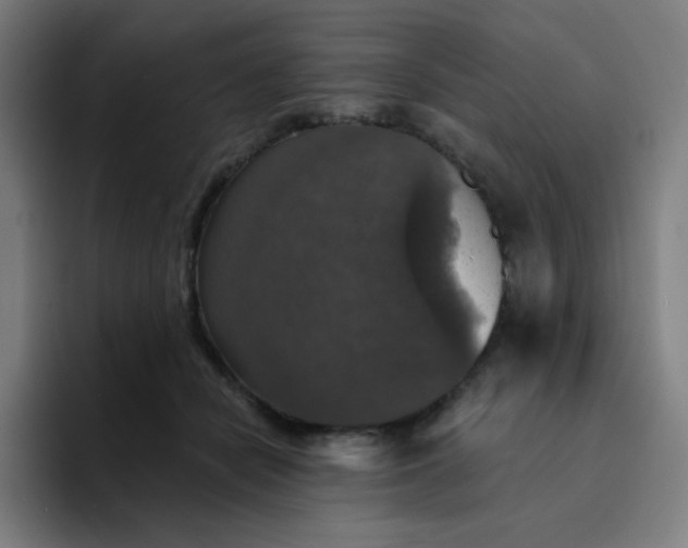 X0000094380462200711162134