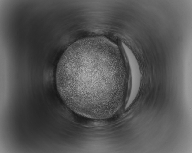 X0000094380466200711162134