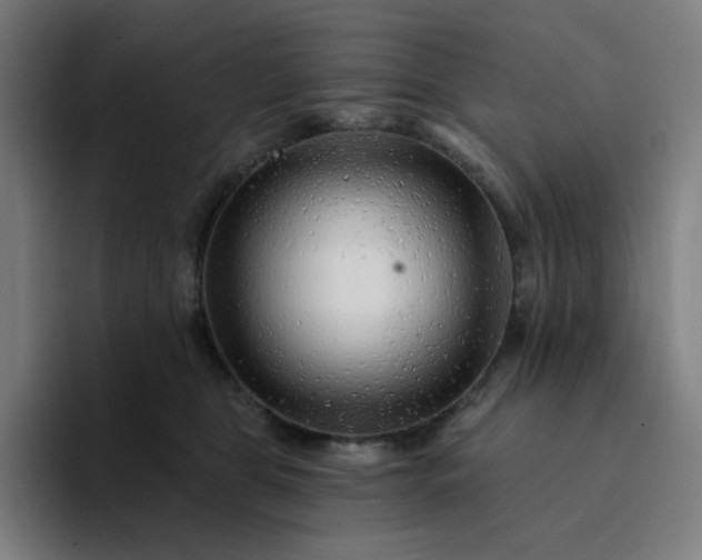 X0000094380469200711162134