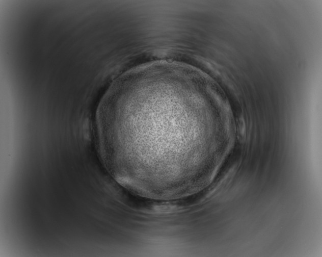X0000094380470200711162134