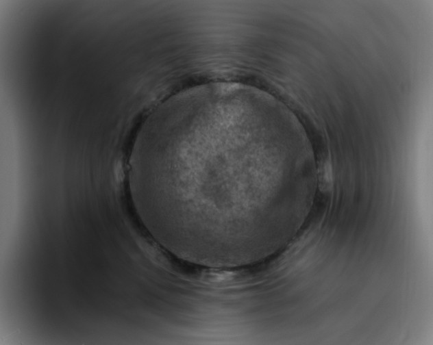 X0000094380472200711162134