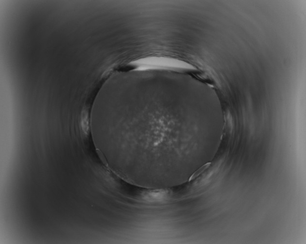 X0000094380479200711162134