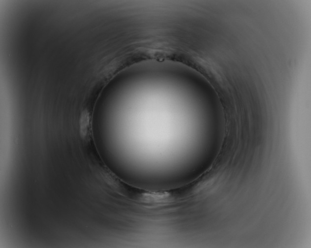 X0000094380480200711162134